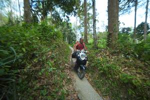 BIB: 
                            <button type="button" onclick="openModal(21744926)" class="btn btn-primary btn-sm float-right btn-popup" data-toggle="modal" data-target=".modal-high-quality">
                        <i class="fas fa-shopping-cart"></i> Add to Cart
                    </button>
                                            <button type="button" onclick="isThisMe(21744926, true)" class="btn btn-success btn-sm float-right btn-popup btn-isme hidden" data-toggle="tooltip" data-placement="bottom" title="นี่คือรูปของคุณใช่ไหม คลิกที่นี่เพื่อเอาเข้าอัลบั้ม">
                        <i class="fas fa-plus"></i> Add to album
                    </button>
                    <button type="button" onclick="isThisMe(21744926, false)" class="btn btn-warning btn-sm float-right btn-popup btn-isnotme hidden">
                        <i class="fas fa-ban"></i> Remove from album
                    </button>